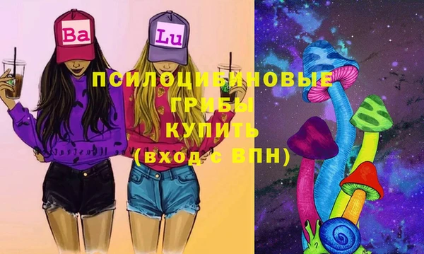 стаф Киренск