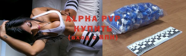 стаф Киренск