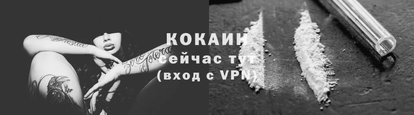 стаф Киренск