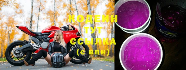 стаф Киренск